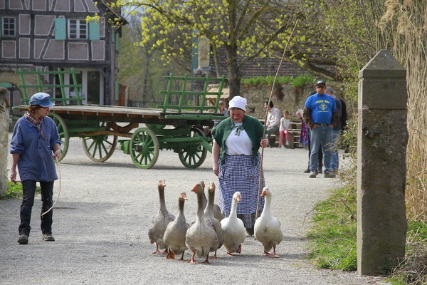 Villageois et oise  � Ecomus�e d'Alsace