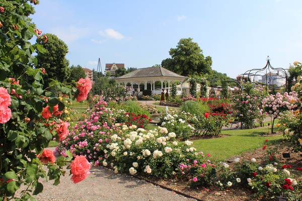  Office de Tourisme du Pays de Saverne