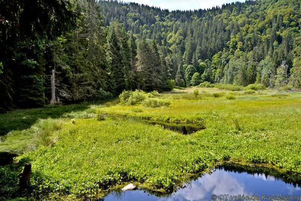 Lapoutroie  OT valle de Kaysersberg